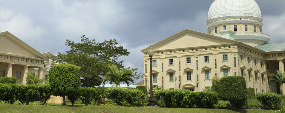 帕劳总统府潜水